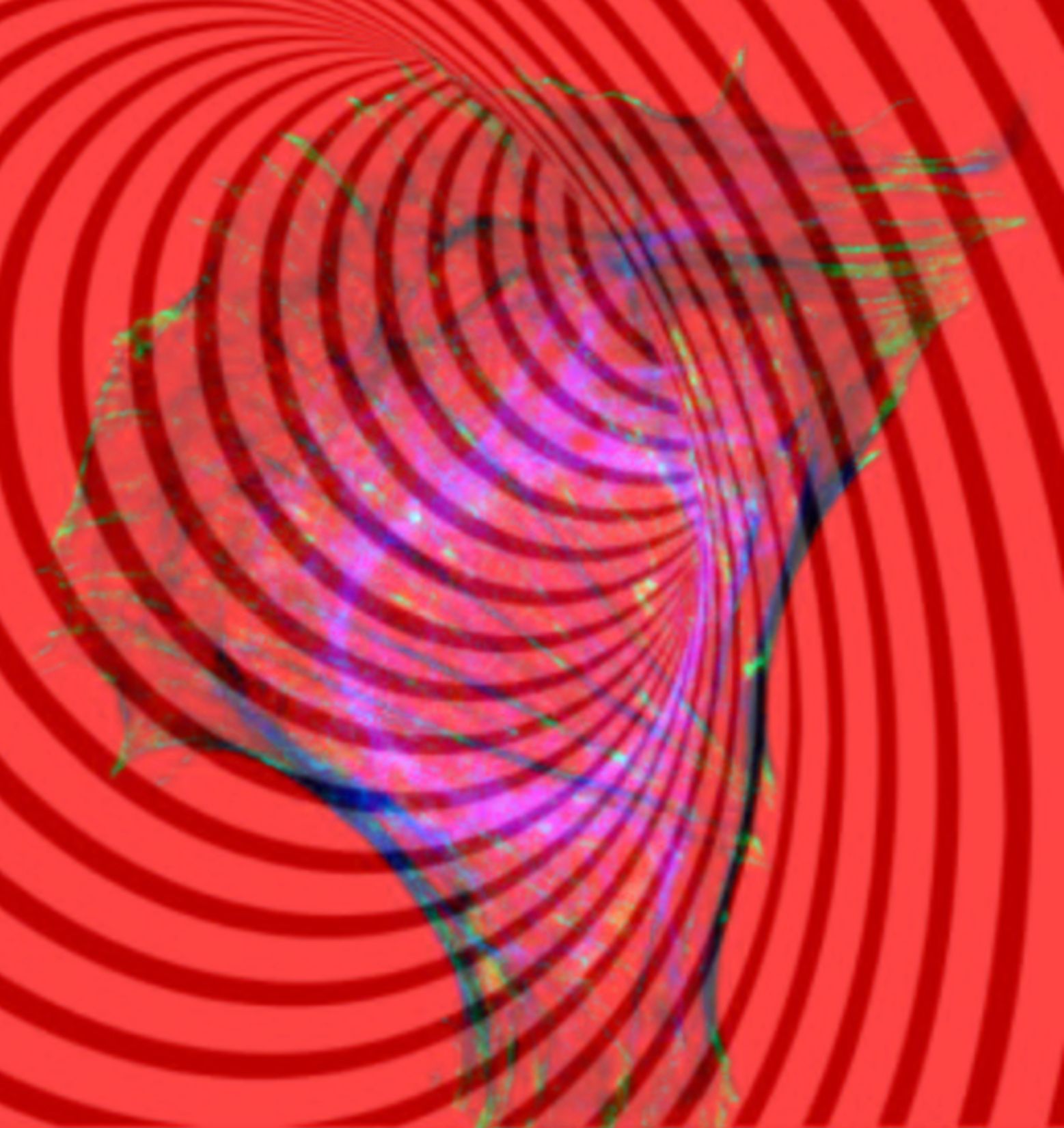 Beschreibung des Vacuums